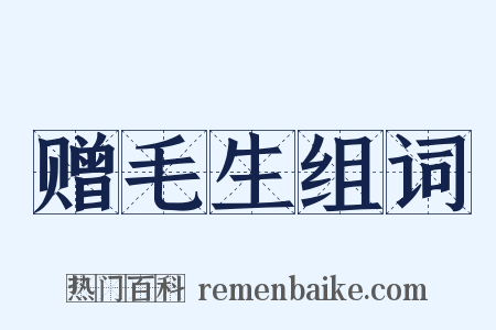 赠毛生组词是什么意思的图片